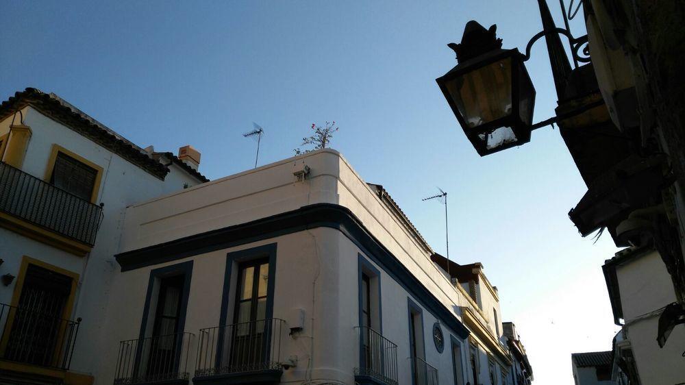 Hostal Azahar Kordoba Zewnętrze zdjęcie